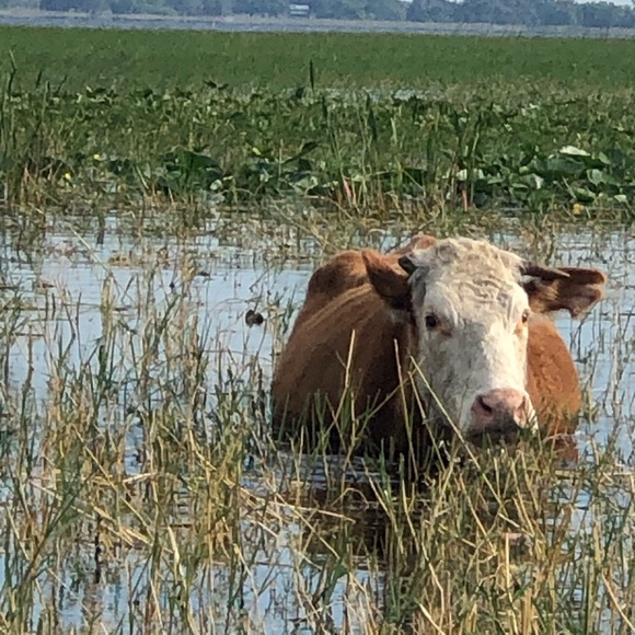 Meet your Posher, Staci - Picture 1 of 1